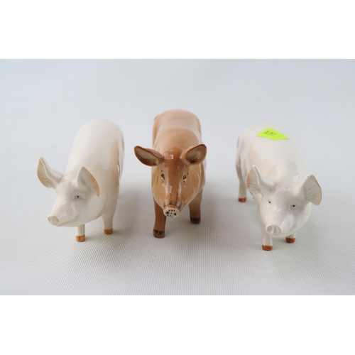 89 - 3 Royal Doulton & Beswick Tamworth Pigs