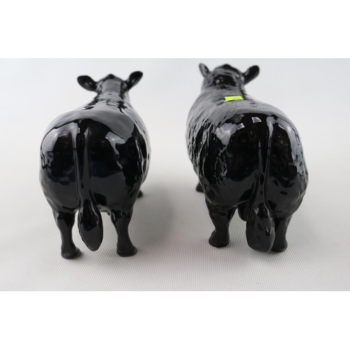 94 - Beswick Aberdeen Angus Bull and Cow for the Aberdeen Angus Cattle society