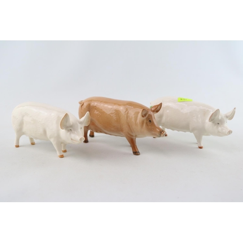 89 - 3 Royal Doulton & Beswick Tamworth Pigs