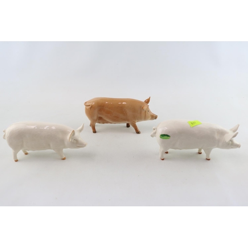 89 - 3 Royal Doulton & Beswick Tamworth Pigs