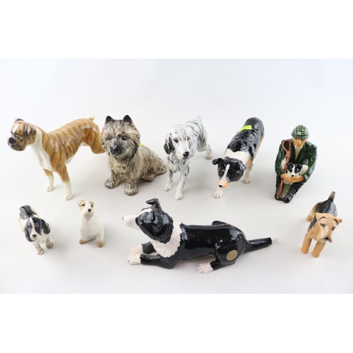 95 - Collection of Beswick and other Dogs inc. Airedale, Spaniel etc and a Ceramics figure of a Shepherd