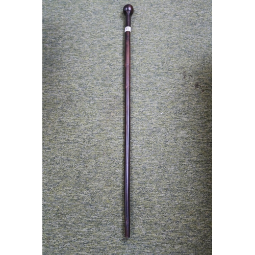 31 - Good quality African Blackwood walking Cane 93cm in Length