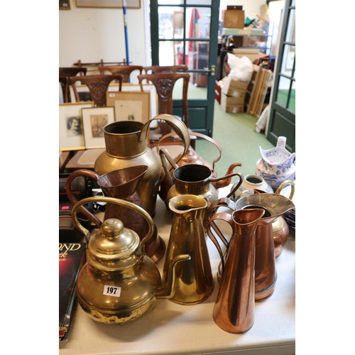 100 - Collection of assorted Brass and Copper Jugs and Kettles