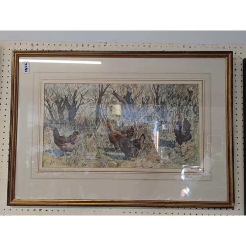 90A - Watercolour by R Y Ferguson of Chickens in woodland