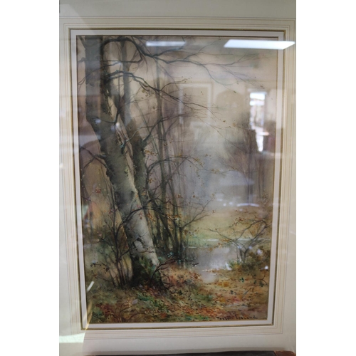 90 - Framed Watercolour depicting a woodland view by Thomas Taylor of Ireland