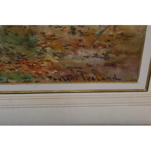 90 - Framed Watercolour depicting a woodland view by Thomas Taylor of Ireland