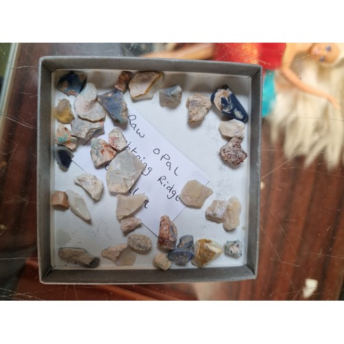 Lot 203       