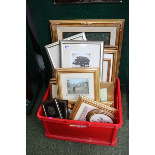 257 - Collection of assorted Gilt Framed Pictures and prints of classical views and prints