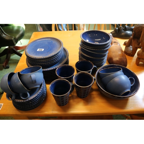 300 - Denby blue ground dinner service Reflex