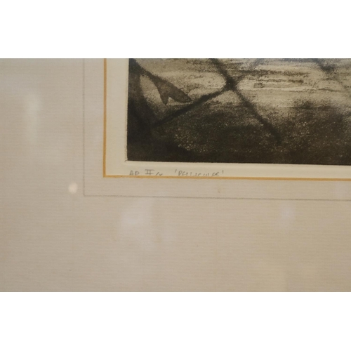 117 - Neil Woodall RA Limited edition entitled 'Pellicules' AD II/x