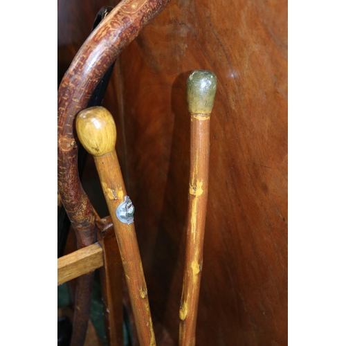 180 - Collection of assorted Walking sticks and 2 stick stands