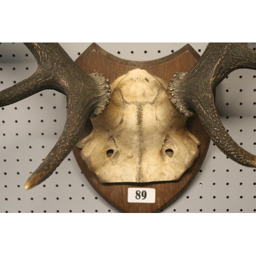 89 - Pair of Deer Antlers mounted on Oak Shield