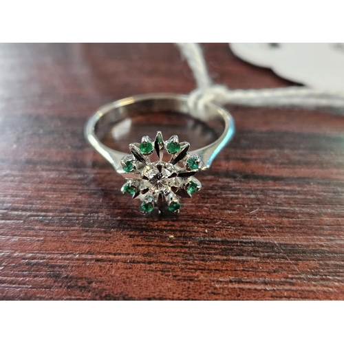 364 - Ladies White Gold Emerald & Diamond Cluster ring Size M. 2.1g total weight