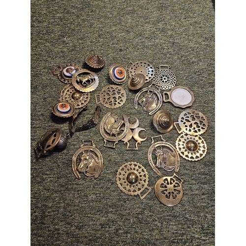 252D - Collection of assorted 19thC and later Horse Brasses and fittings