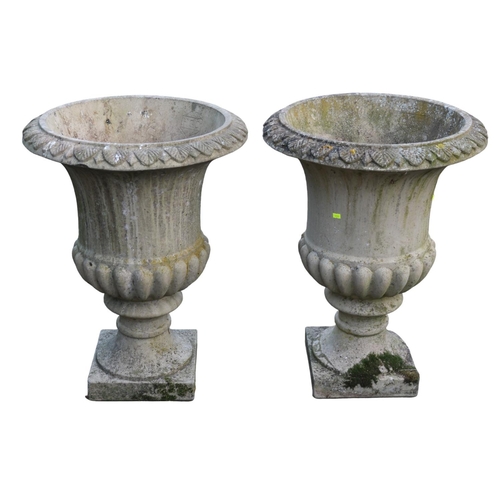 215 - A Pair of Large Campana Urn Garden planters with Leaf decorated rim over gadrooned bowl and square b... 