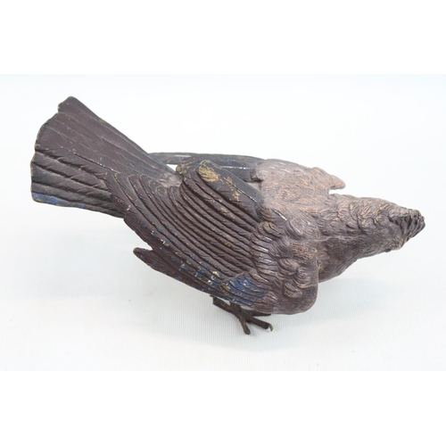 96 - In the Style of Franz Bergmann (1861-1936). Cold painted model of a Jay in Bronze unmarked. 22cm in ... 