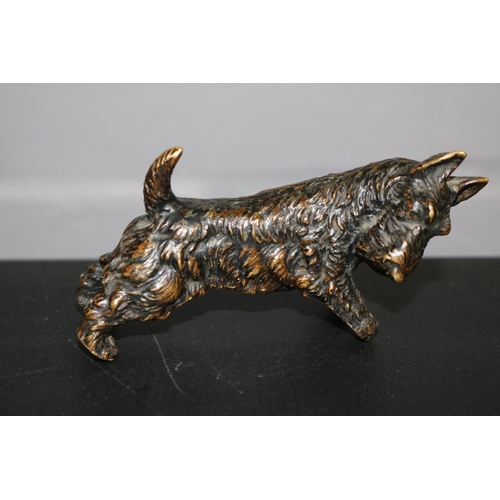 80 - Franz Xaver Bergmann style Bronze of a Scottie Dog. 10cm in Length