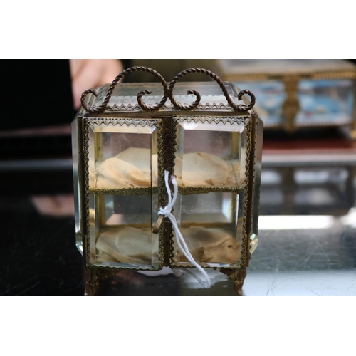 267A - 19thC Bijoux glass panelled Jewellery Casket with gilt metal fittings supported on paw feet 9.5cm in... 