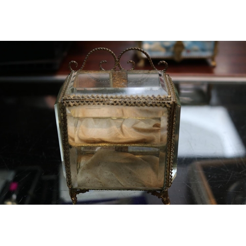 267A - 19thC Bijoux glass panelled Jewellery Casket with gilt metal fittings supported on paw feet 9.5cm in... 