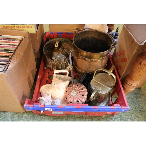 229 - Box of Antique Brass and Copperware inc. Chestnut warmer, Log Bucket, Brass Watering Can etc