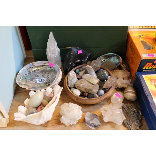 230 - Collection of assorted Shells and Polished stones to include Pyrite, Quartz etc