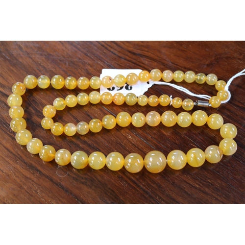 362 - Early 20thC Graduated Agate Bead necklace with yellow metal clasp. 75cm in Length