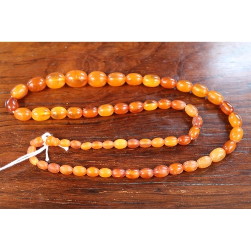 363 - Antique Graduated Amber oval Bed Necklace. 68cm in Length