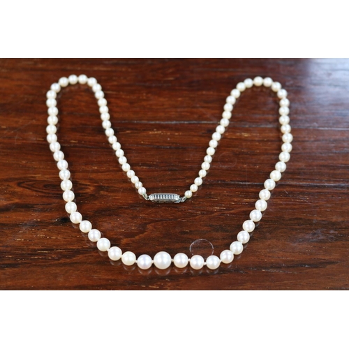 365 - Ladies Graduated Pearl Necklace with 9ct White Gold Clasp