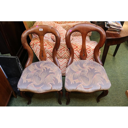 442 - Pair of Victorian Mahogany dining chairs with upholstered seats over French curved legs