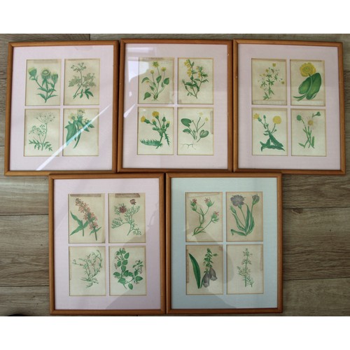 386 - Twenty Framed Chromolithographs (colour lithographs) of wild flowers by Anne Pratt from her book 