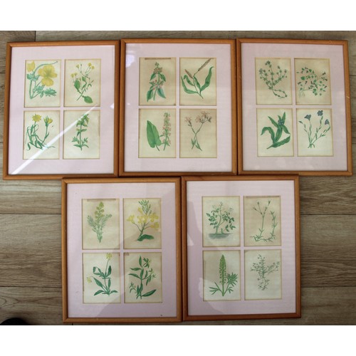 387 - Twenty Framed Chromolithographs (colour lithographs) of wild flowers by Anne Pratt from her book 