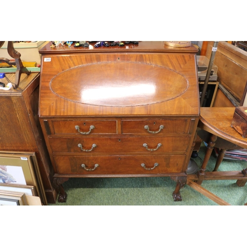 582 - Edwardian Mahogany fall front bureau with metal drop handles over ball and claw feet