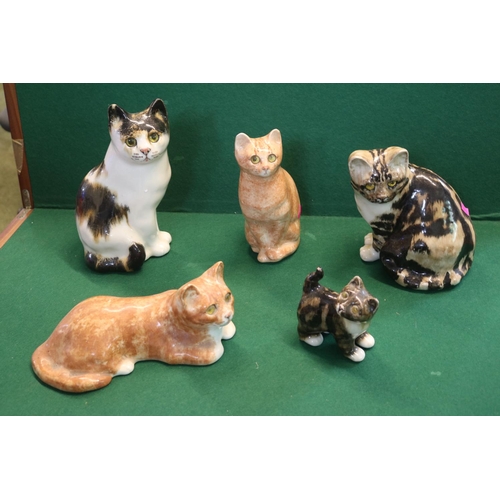 20 - Collection of 5 Winstanley Cats to include Tortoiseshell & Ginger Cat with Glass eyes (5) 10 cm to 2... 