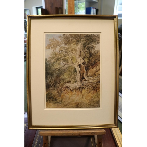 235 - Peter De Wint (British, 1784 - 1849). Original Framed Watercolour depicting Knarled Oak tree in coun... 