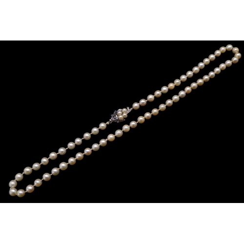 365 - Fine Necklace set of Cultured Pearls set of 14K White Gold Sapphire & Diamond set clasp. 61 Hand kno... 