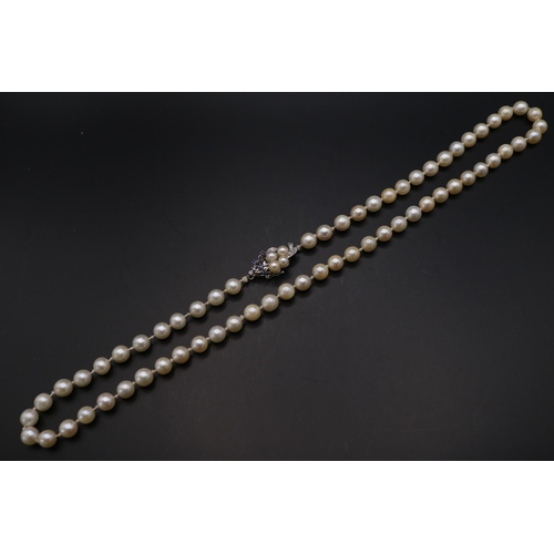 365 - Fine Necklace set of Cultured Pearls set of 14K White Gold Sapphire & Diamond set clasp. 61 Hand kno... 