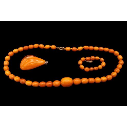 366 - Graduated Butterscotch Amber Necklace of 43 Hand knotted beads 25.6g total weight from 8mm to 16.5mm... 