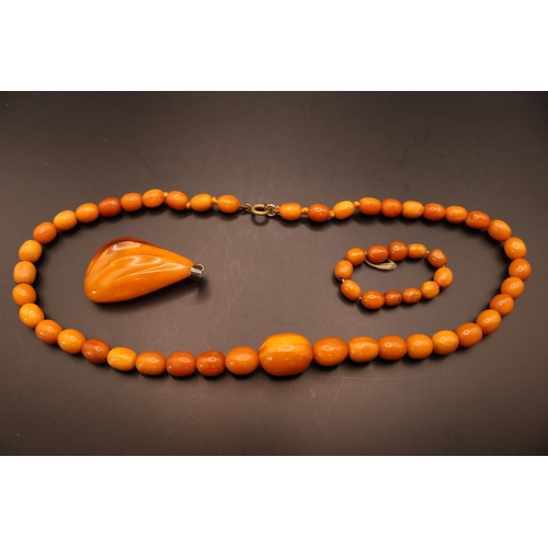 366 - Graduated Butterscotch Amber Necklace of 43 Hand knotted beads 25.6g total weight from 8mm to 16.5mm... 