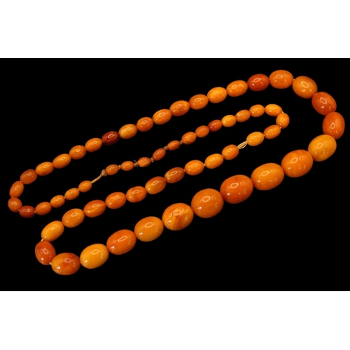 375 - Graduated Amber bead necklace, comprising sixty-one oval butterscotch and honey coloured amber beads... 