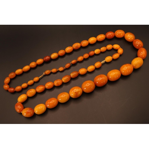 375 - Graduated Amber bead necklace, comprising sixty-one oval butterscotch and honey coloured amber beads... 