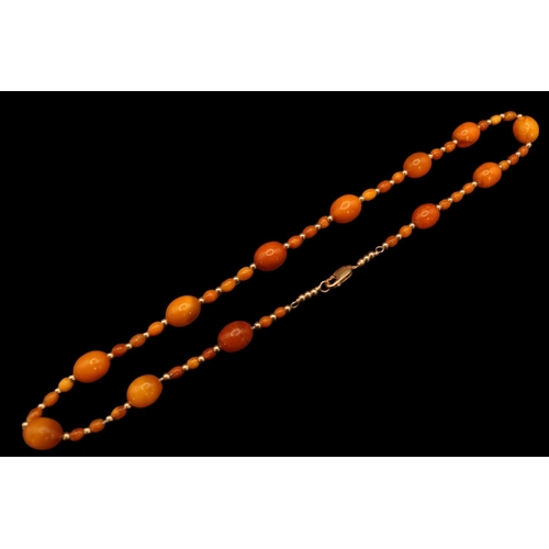 376 - Ladies Amber and 9ct gold beaded necklace. 48 Oval Amber beads 3mm to 8mm with 9ct gold beads mounte... 