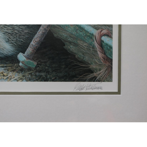 268 - 2 Framed Limited edition signed prints by Andrew Hutchinson depicting Hedgehog and Wren