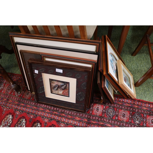 524 - Collection of assorted Pictures and prints to include Framed Fossils