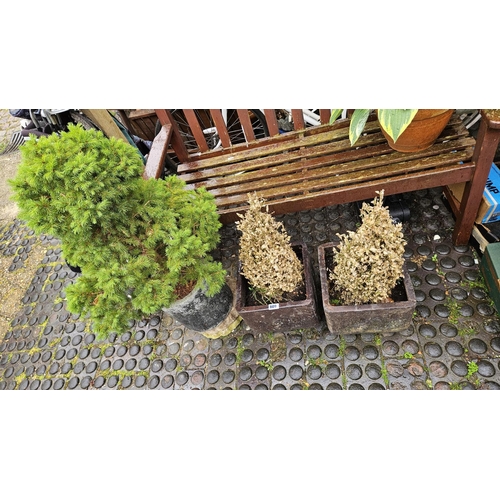 609 - Pair of Garden planters, Planter with tree and 2 stands