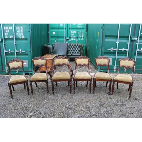 419 - 19thC Set of 6 Mahogany dining chairs with upholstered backs and drop in seats over carved show fram... 