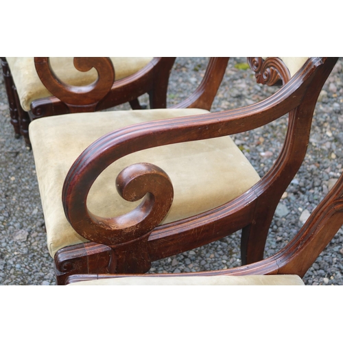 419 - 19thC Set of 6 Mahogany dining chairs with upholstered backs and drop in seats over carved show fram... 