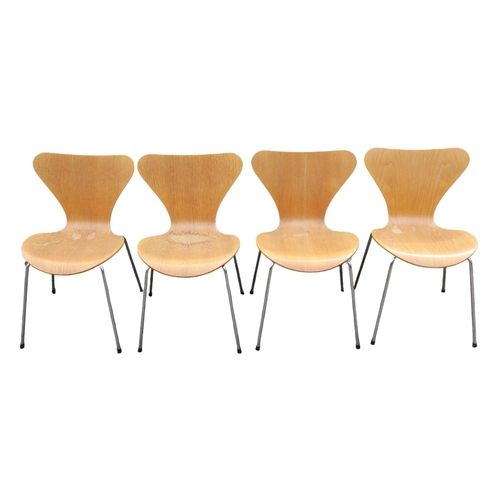 431 - Danish Fritz Hansen Mid Century Ply chairs designed by Arne Jacobsen dated 1995 supported on Chrome ... 