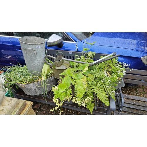 625 - Collection of Galvanised Planters & a watering can