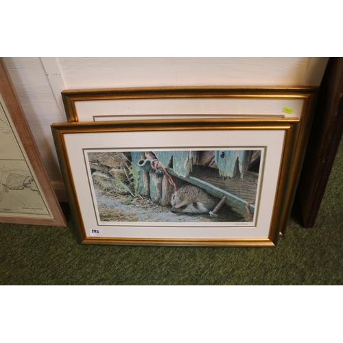 193 - 2 Framed Limited edition signed prints by Andrew Hutchinson depicting Hedgehog and Wren