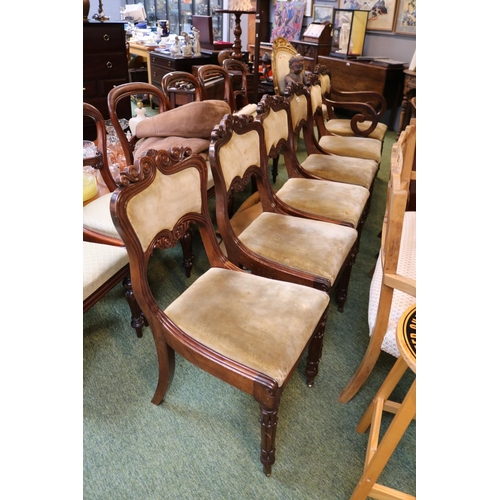 467 - 19thC Set of 6 Mahogany dining chairs with upholstered backs and drop in seats over carved show fram... 